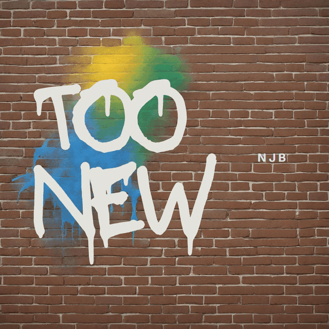 Album cover art for "Too New" by N J B