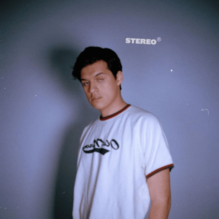 Stereo (Vinyl)