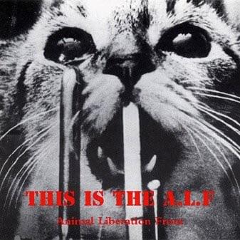 This is The A.L.F.