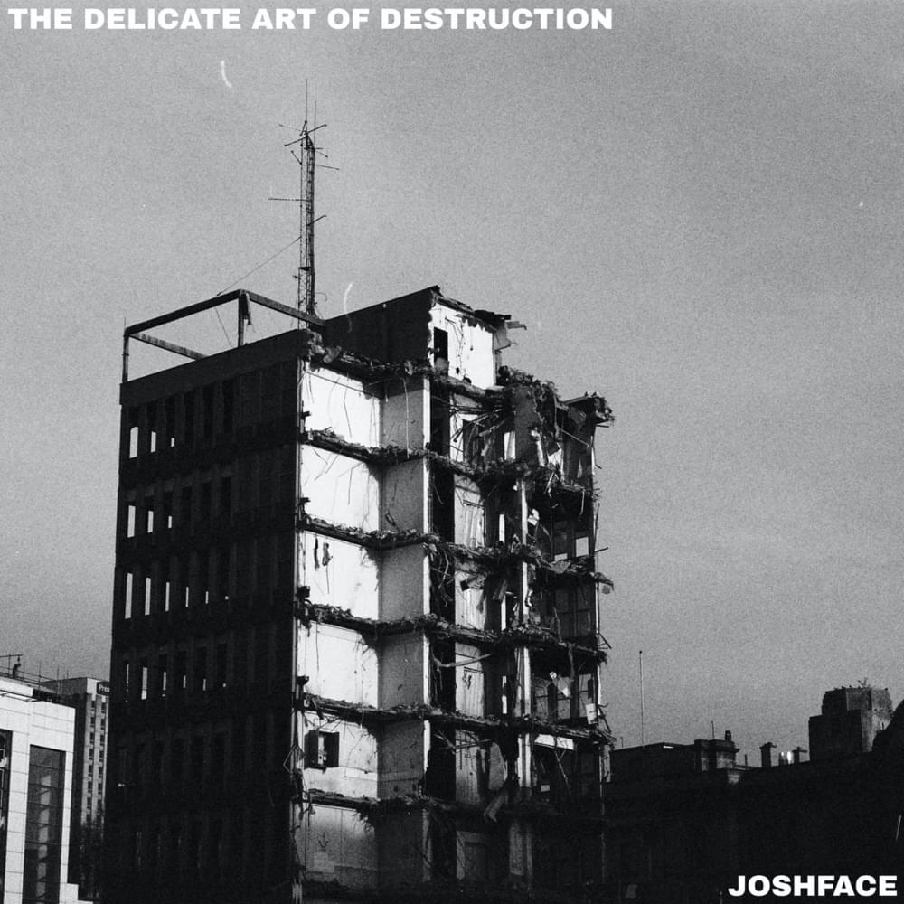 The Delicate Art Of Destruction