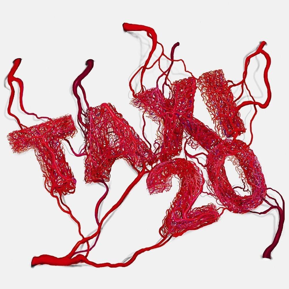 Taxi 20