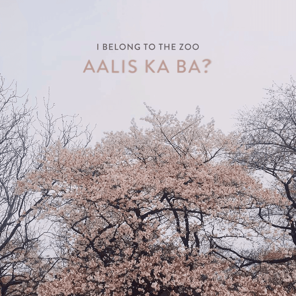 Album cover art for "Aalis Ka Ba?" by I Belong to the Zoo