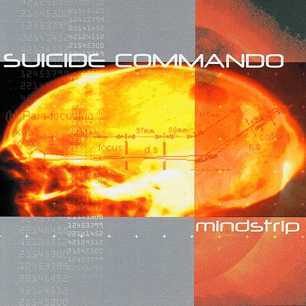 Mindstrip