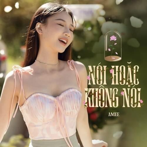 Nói Hoặc Không Nói - Single