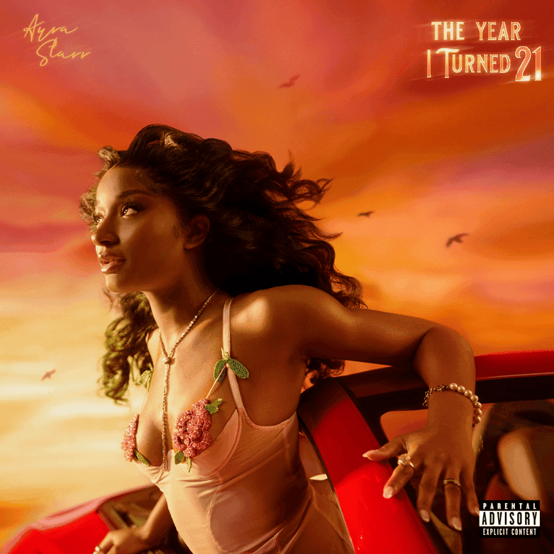 The Year I Turned 21 (Deluxe)*
