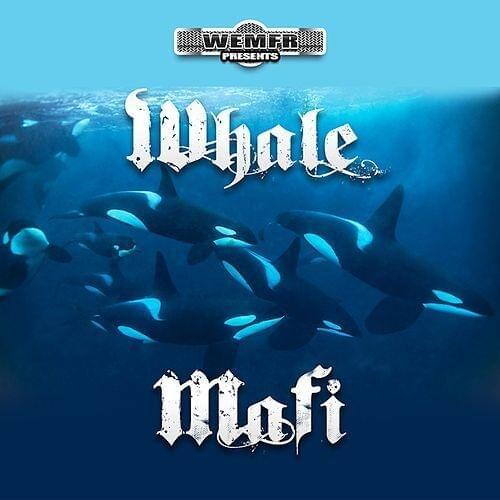 Whale Mafi