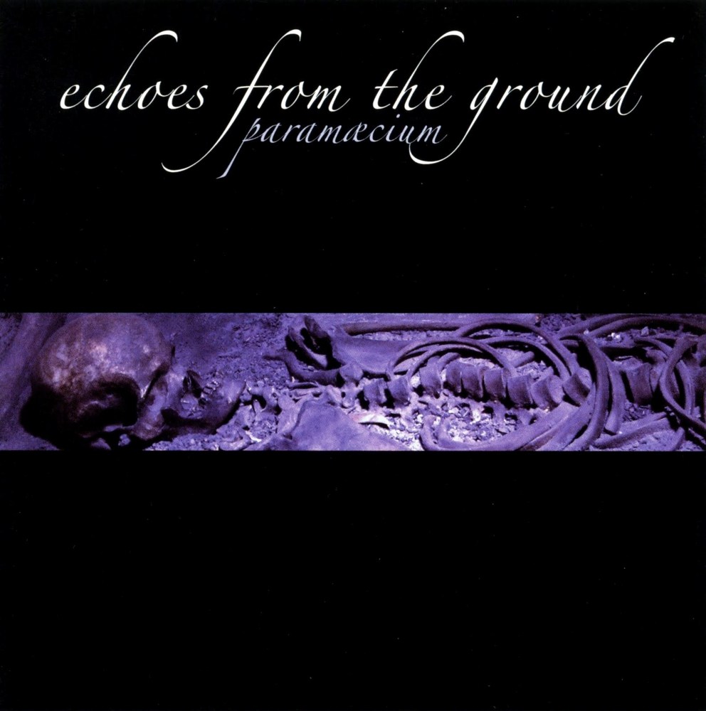 Echoes From the Ground