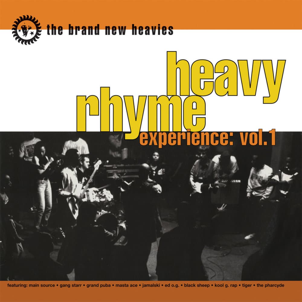 Heavy Rhyme Experience: Vol. 1