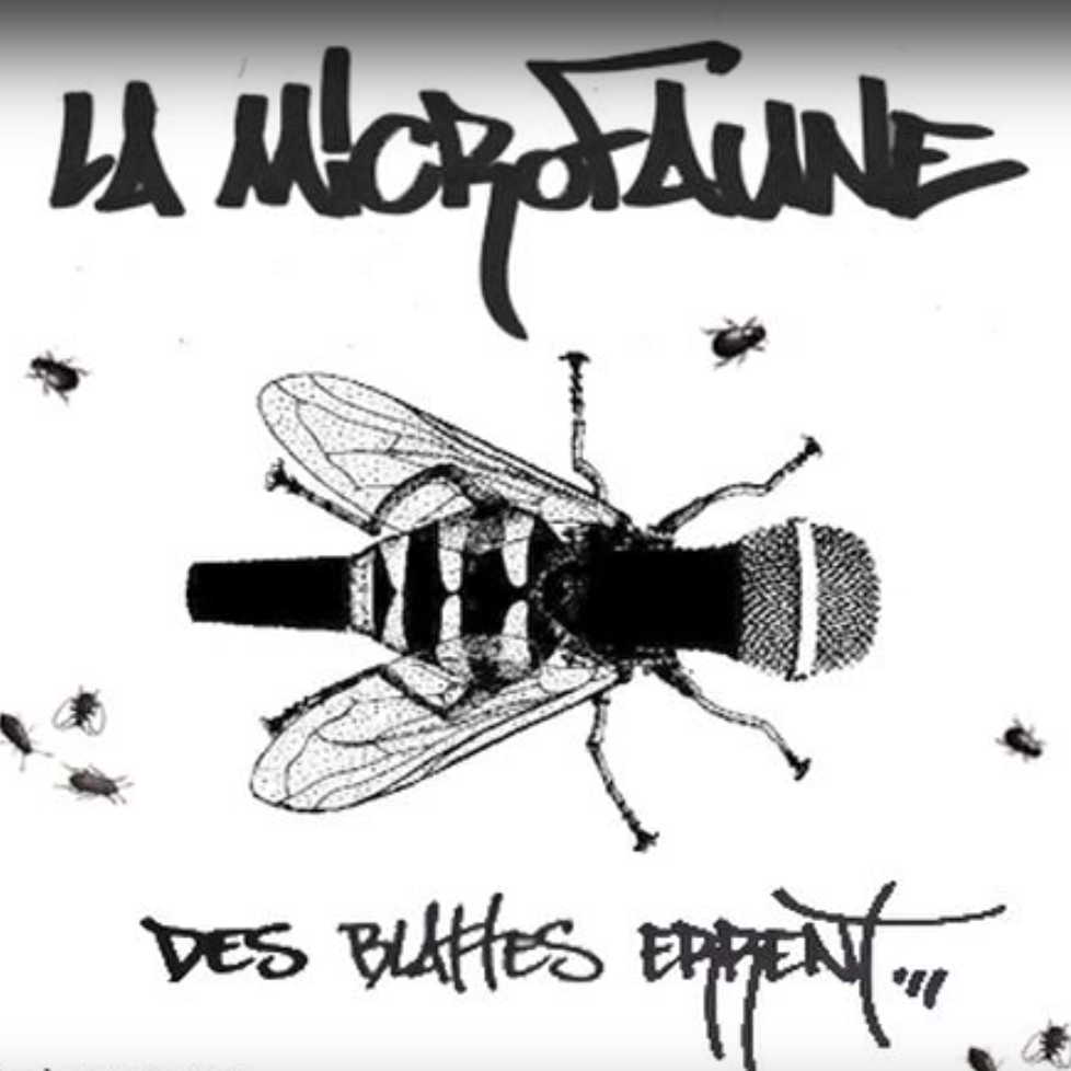 Des blattes errent...