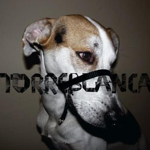 Defensa