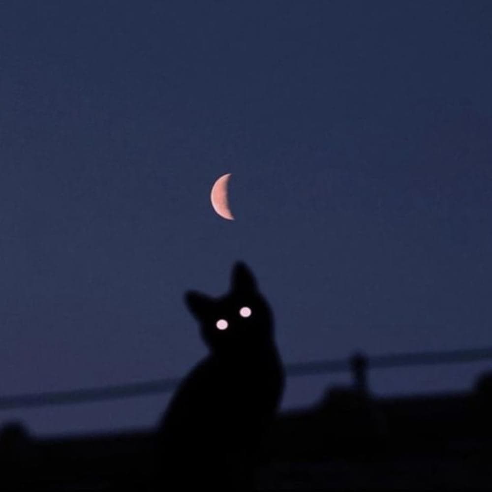 Album cover art for "living through a thousand cuts." by i can’t trust myself tonight