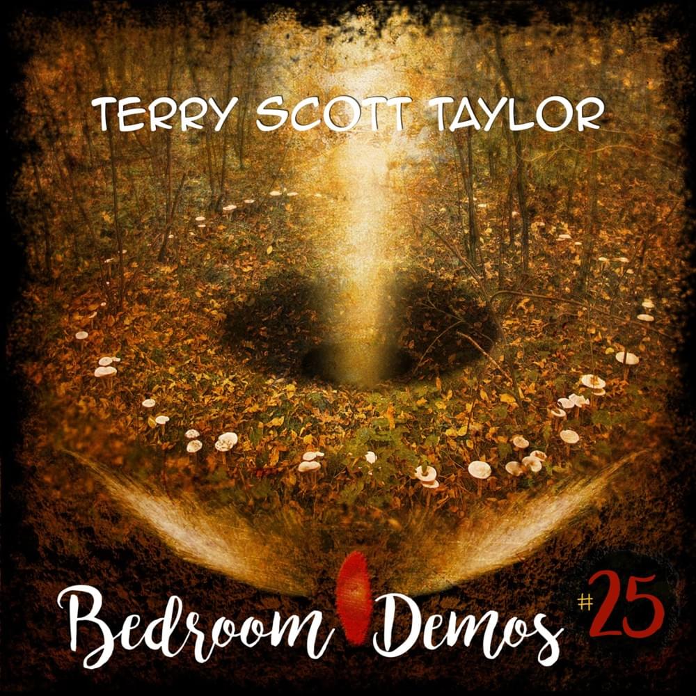 Bedroom Demos, Vol. 25