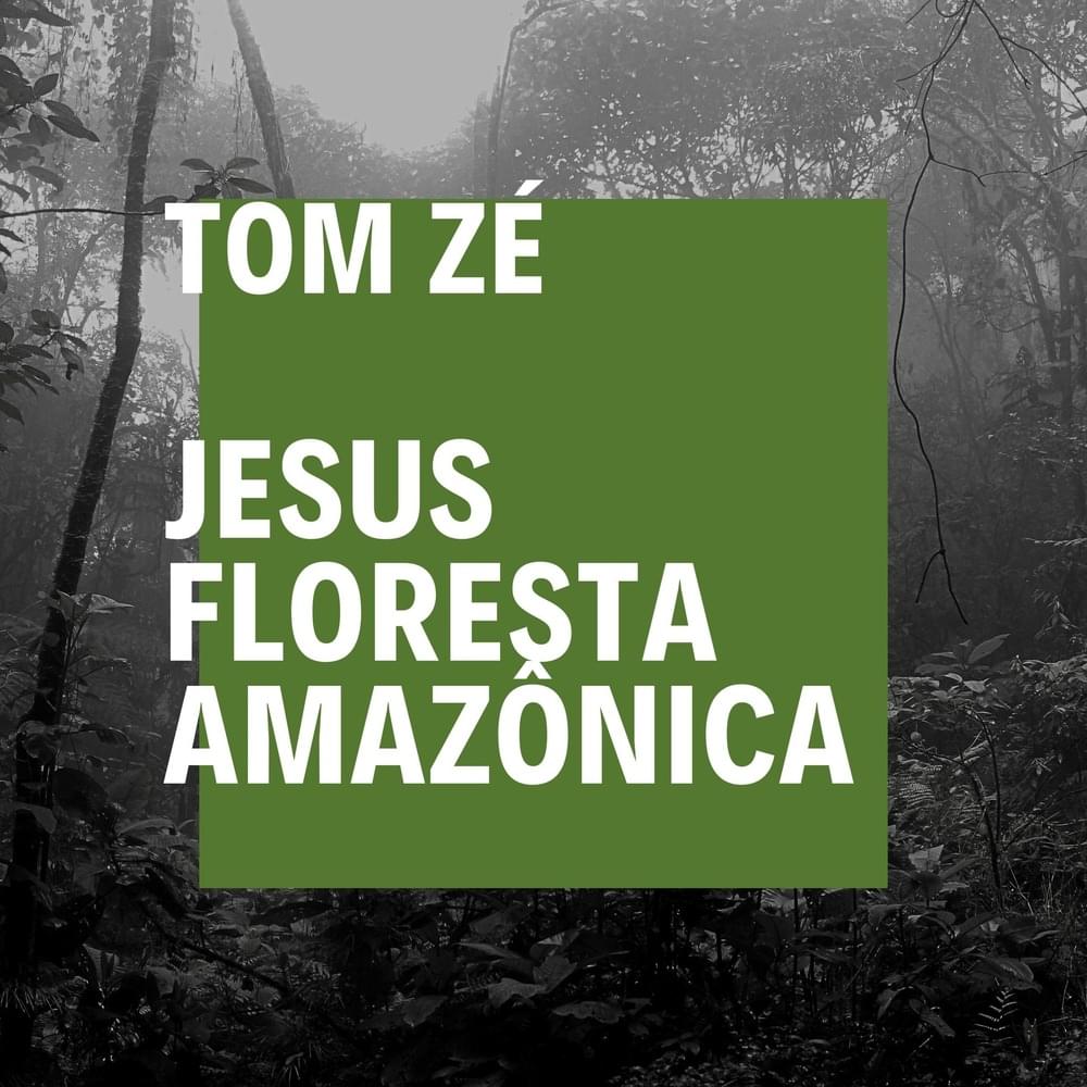 Jesus Floresta Amazônica