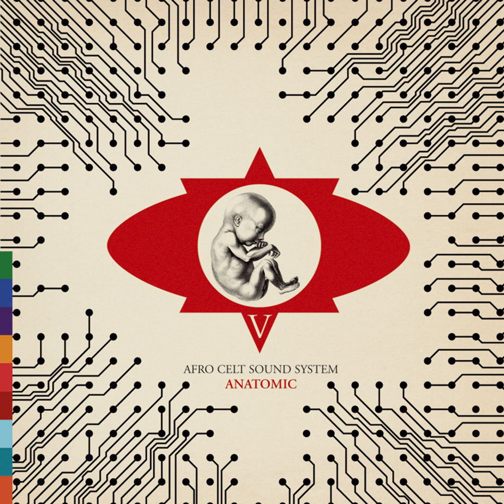 Volume 5: Anatomic