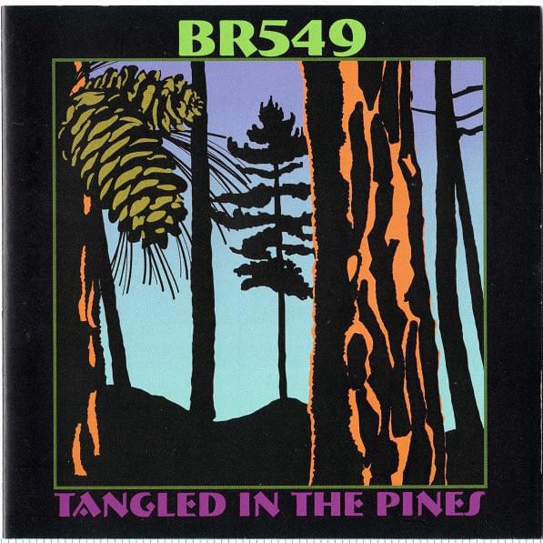 Tangled in the Pines