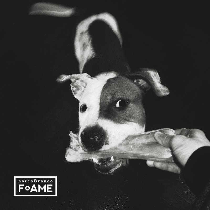 FoAME [maxi-single]