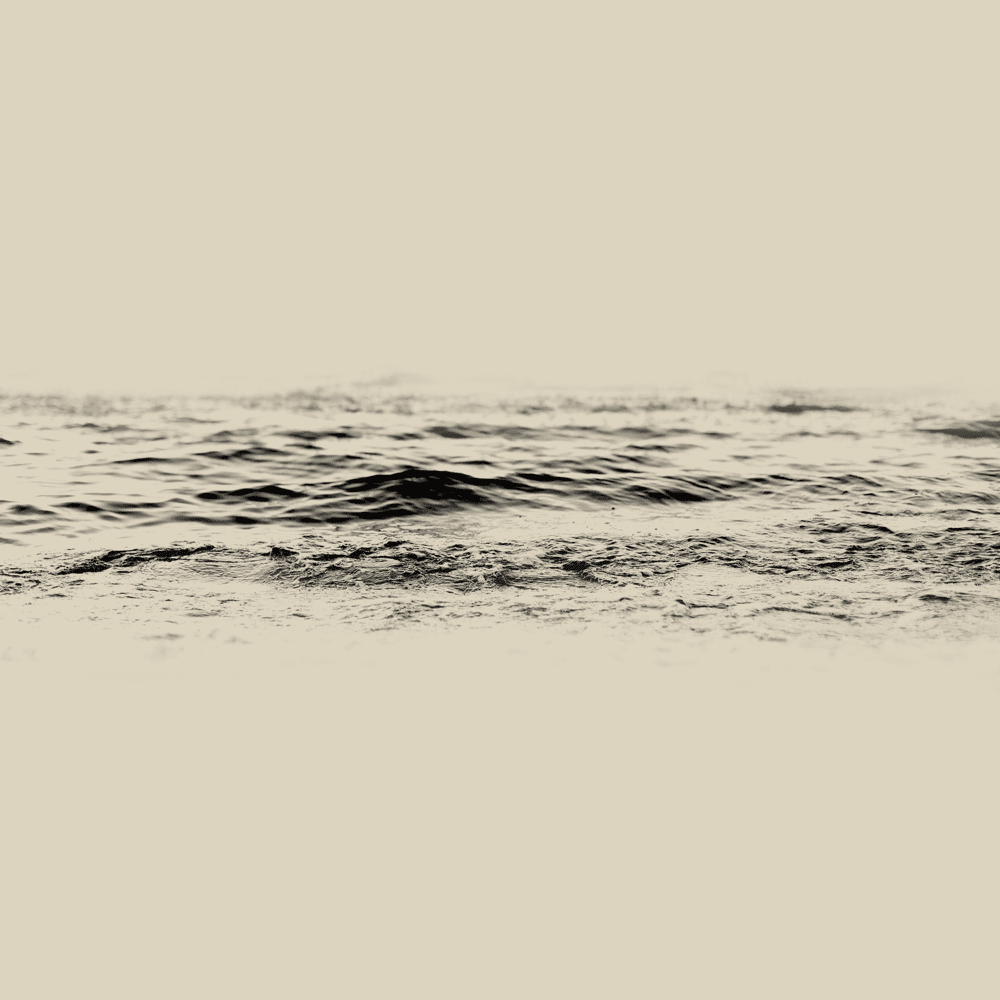 수면에서 (On the surface of the water)