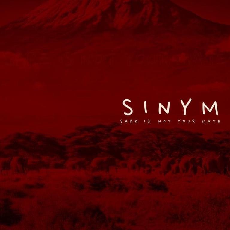 Sinym (Sarz is Not Your Mate)
