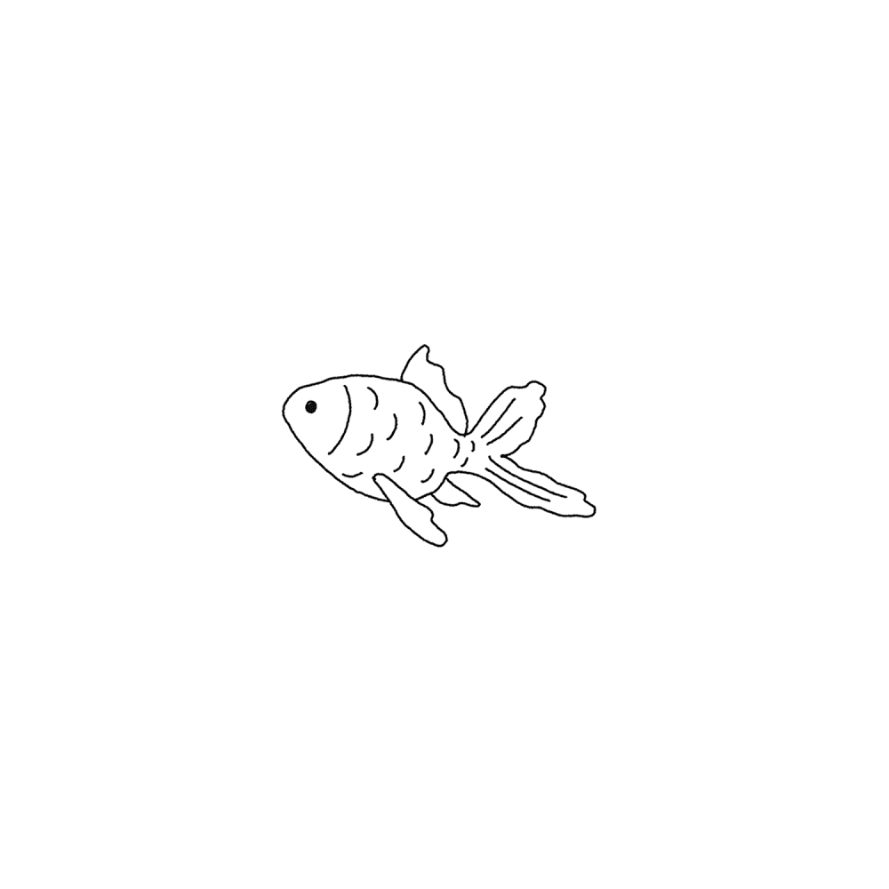 숲으로 떠난 물고기 (A Fish Gone to the Forest)