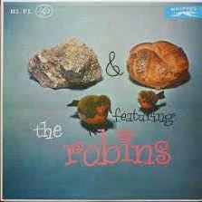 Rock ‘n’ Roll with The Robins