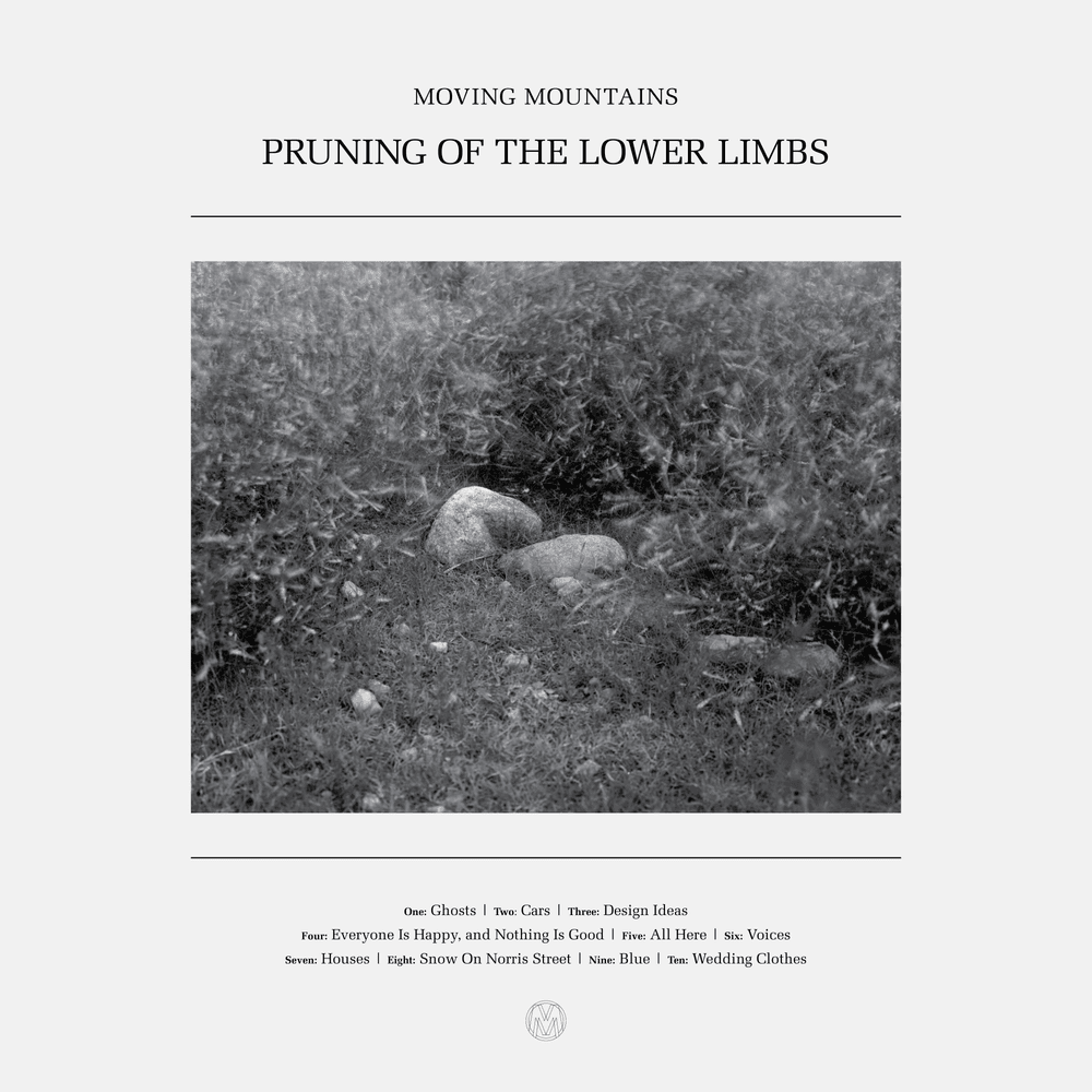 Pruning of the Lower Limbs