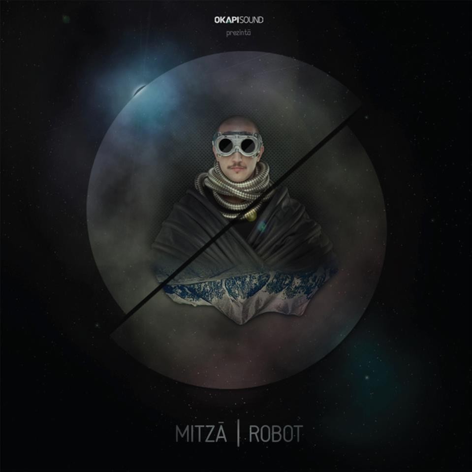 Robot