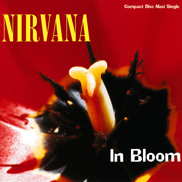 Album cover art for "In Bloom" by Nirvana