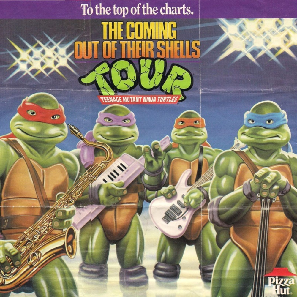 Coming Out of Their Shells