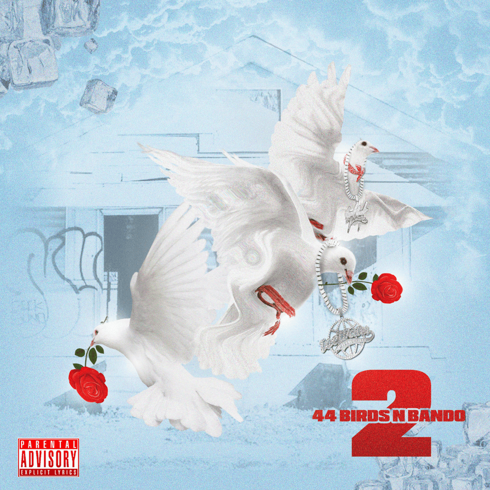 44 Birds N Bando 2