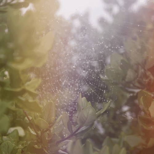 Perfect H / Voices - Single