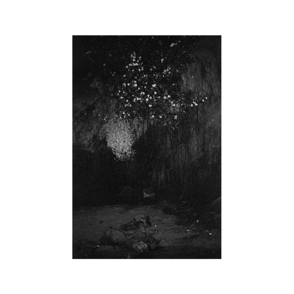 Glass EP