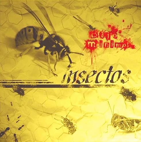 Insectos