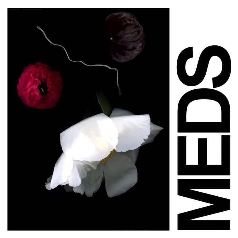 Album cover art for "Meds" by IDLES