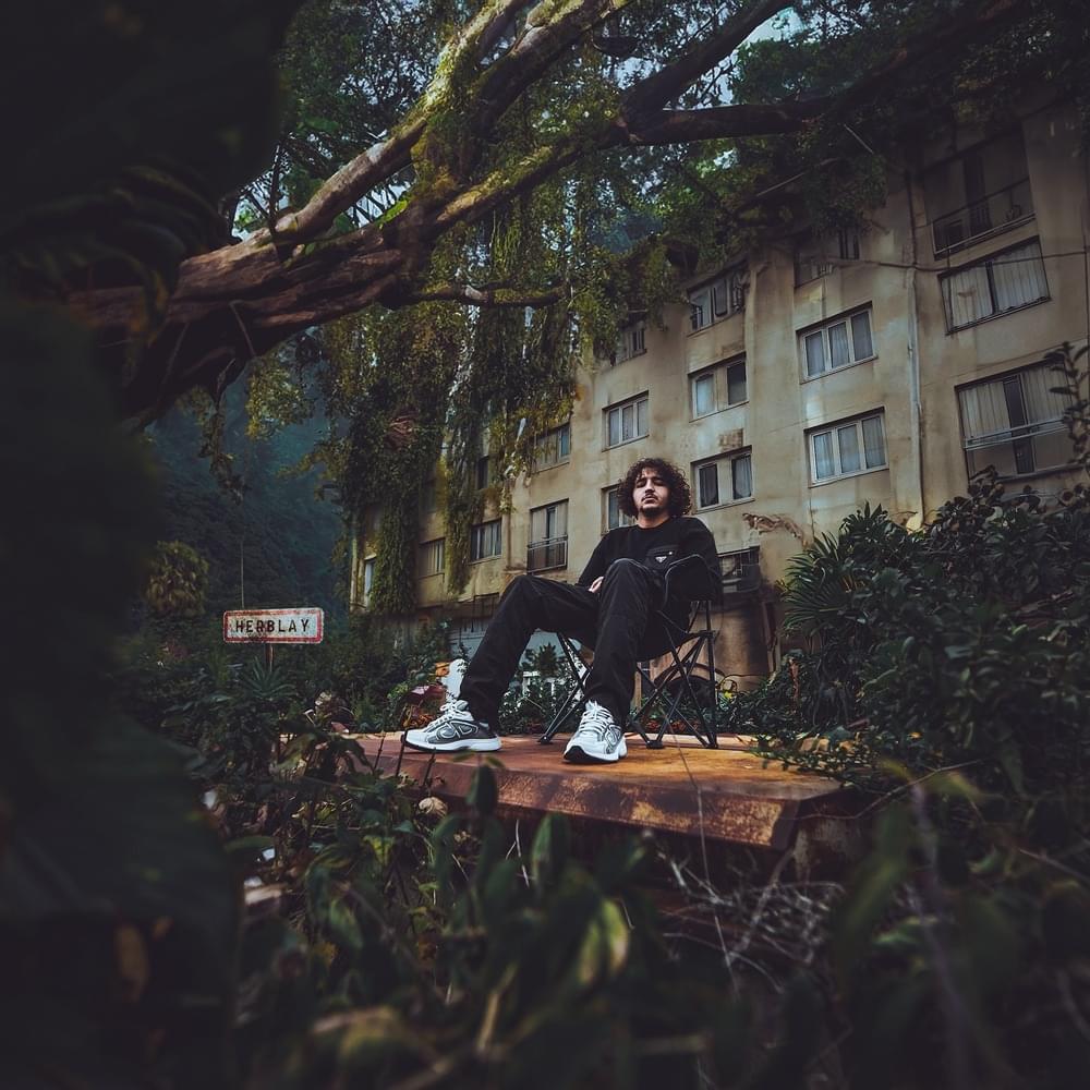 Dans la Jungle