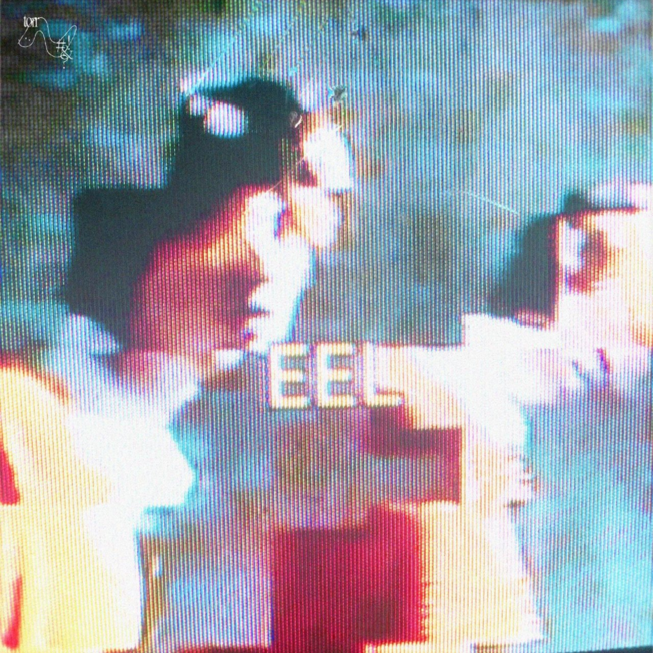 eel