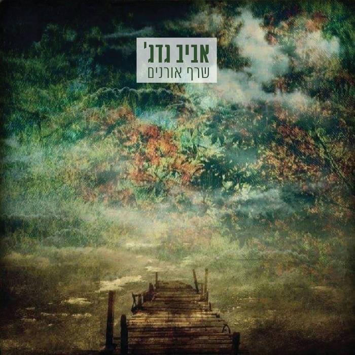 Saraf Oranim - שרף אורנים