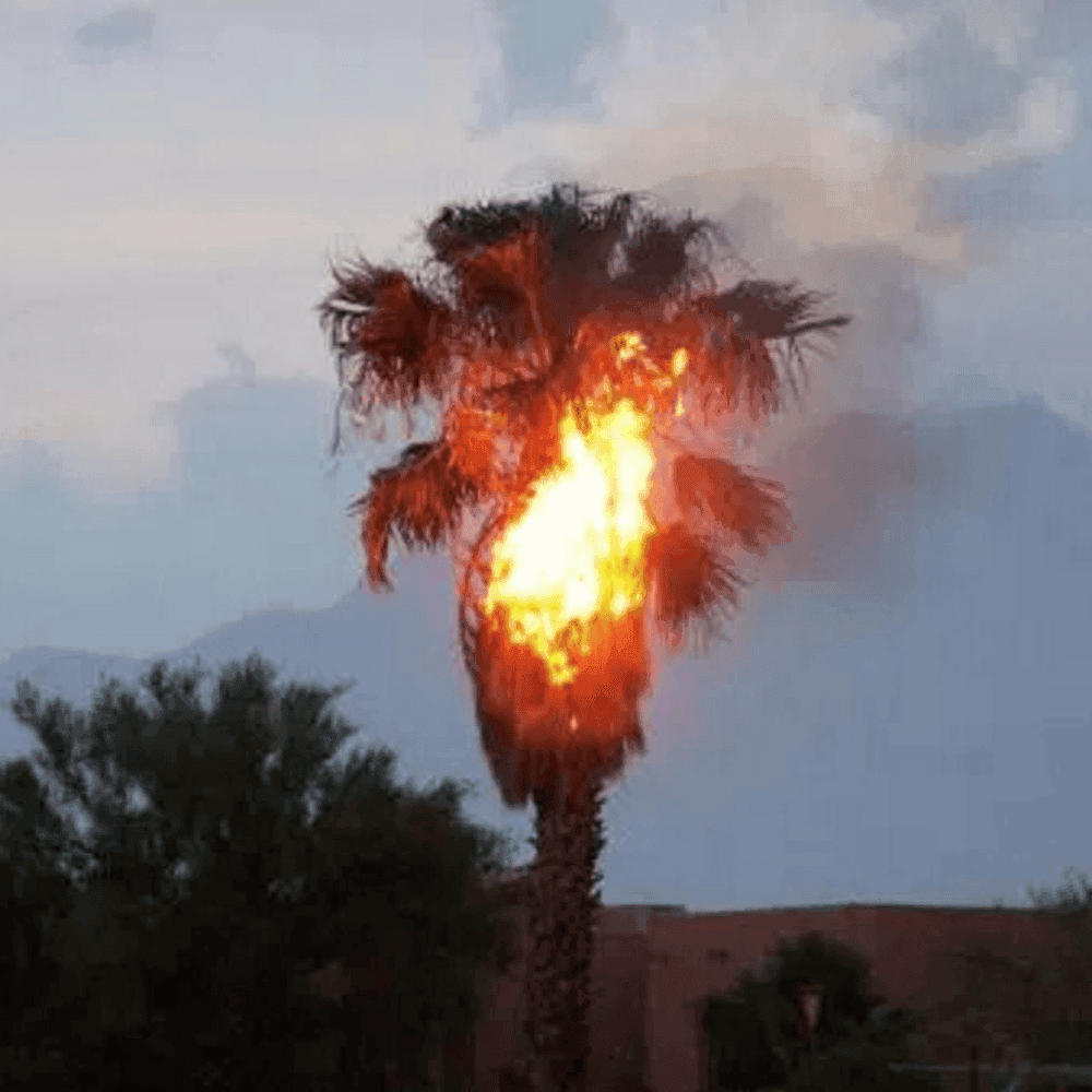 Album cover art for "worldstar money (interlude)" by Joji