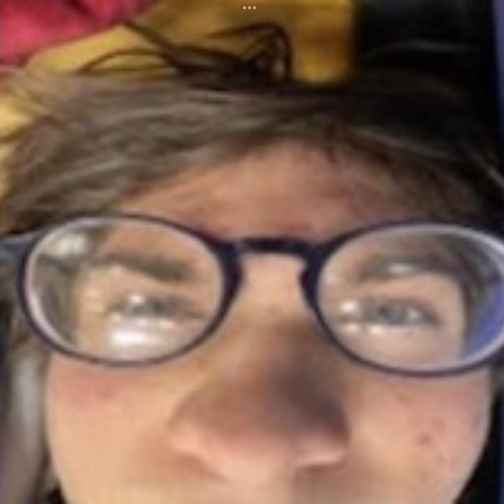 The Complete Øddity