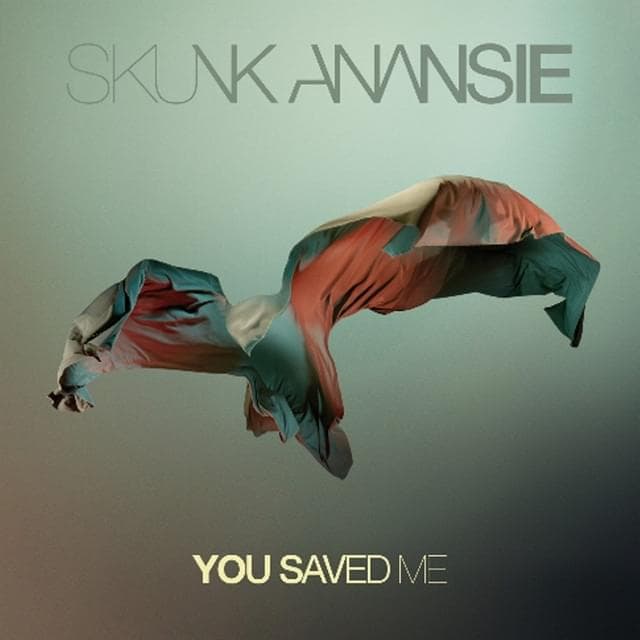 Album cover art for "You Saved Me" by Skunk Anansie