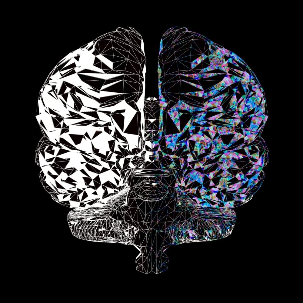 Dual-Brained 2
