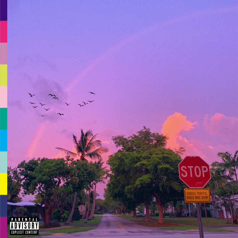 BIRDS & PARADISE