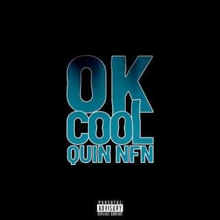 Album cover art for "OK Cool" by Quin NFN