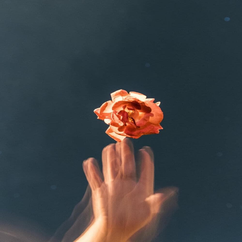 Album cover art for "You are everything, Darling" by Y&M sad boy & LikePu$$y & Liu Grace