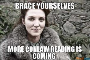 Genius Casebook: Con Law