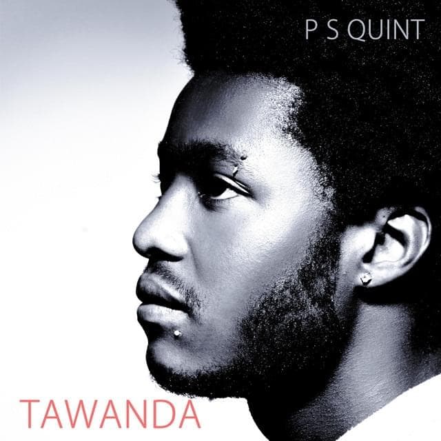 Album cover art for "Frenemies" by P S Quint