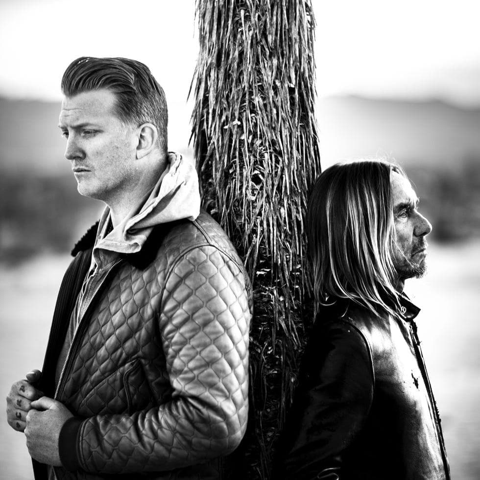 Album cover art for "Gardenia" by Iggy Pop