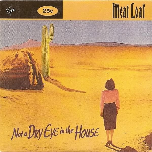 Album cover art for "Not a Dry Eye in the House" by Meat Loaf