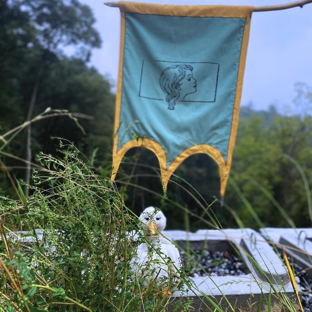 Album cover art for "‌use" by Lil Ugly Mane