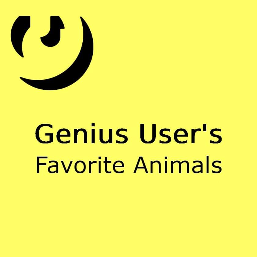 Favorite Animals