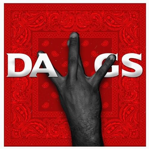 DAWGS